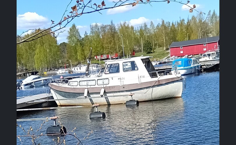 Sea bee Lady 27-kuva-3
